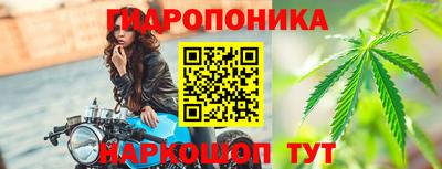 шишки Кунгур