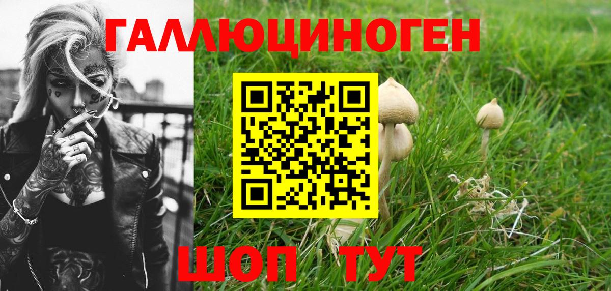 Псилоцибиновые грибы GOLDEN TEACHER Касимов