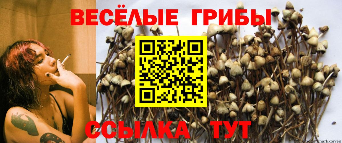 Галлюциногенные грибы прущие грибы  Вход с VPN  где продают   Касимов 